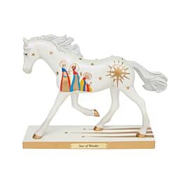 TRAIL PAINTED PONY 6016946 Star of Wonder, Limited Edition