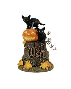 Feline Noir, 2026