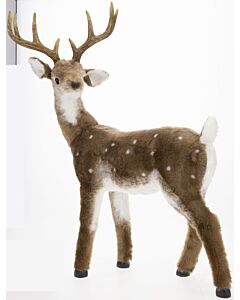 Backward Facing Bambi Deer Head 36"