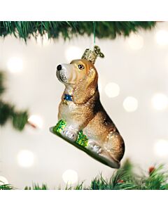 Bassett Hound