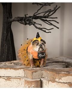 Miss Halloween Tank