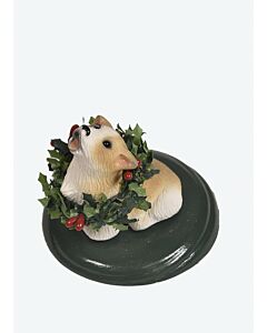 Corgi