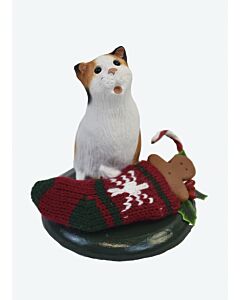 Calico w/ Stocking