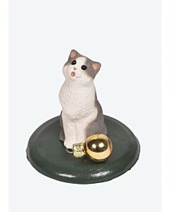 Grey and White Cat