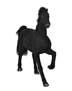 Horse Black