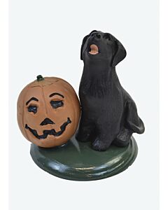 Lab w/ Pumpkin