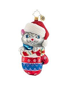 Smitten In A Mitten Kitten!