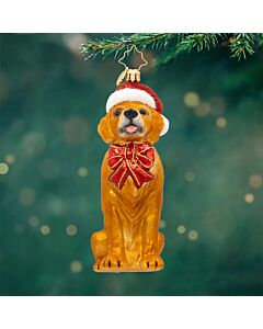 Golden Paws Pal