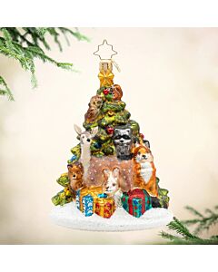 Woodland Celebration