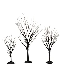 Black Bare Branch Trees