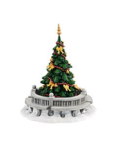 New England Town Tree