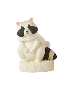 Raccoon Sitting Up