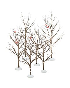 Bare Branch Trees
