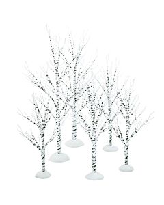 Winter Birch Tree
