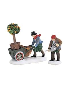Master Gardeners