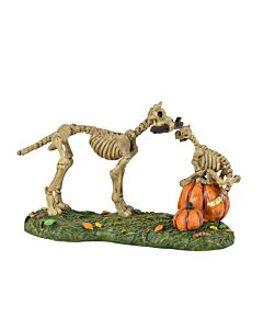 Haunted Pets At Play