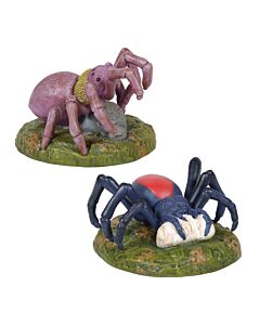 Spider Phobia