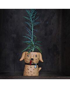 Baby Goldie the Dog Planter