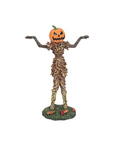The Corn Creeper