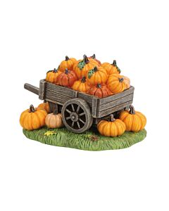 Hey There Pumpkin!