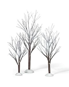 First Frost Trees