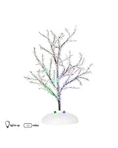 Lit Crystal Trees