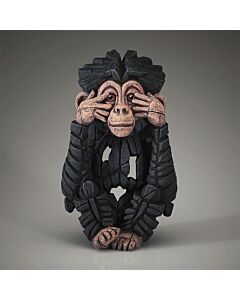 "See No" Baby Chimpanzee
