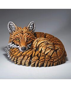 Curled Up Fox