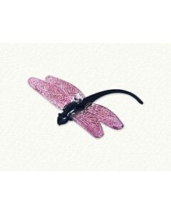 Pink and Black Dragonfly