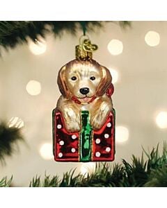 Golden Puppy Surprise