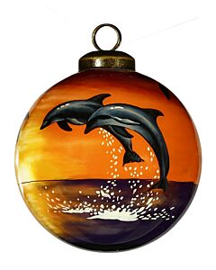 Sunset Dolphin