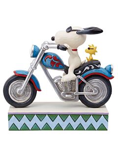 Cool Riders