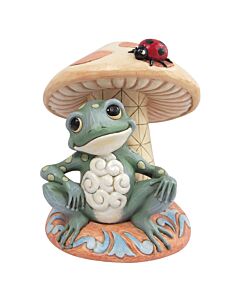 A Frogs Life