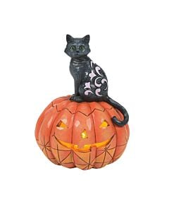 Purr-fect Pumpkin
