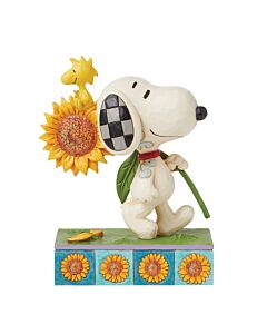 Sunsational Friendship