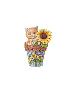 Paws ‘n Petals