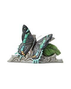 Mini Goliath Butterfly