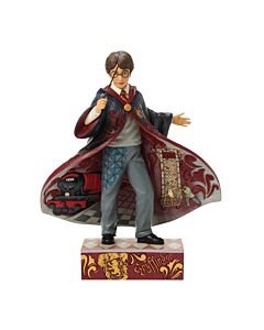 Harry Potter Magical Moment