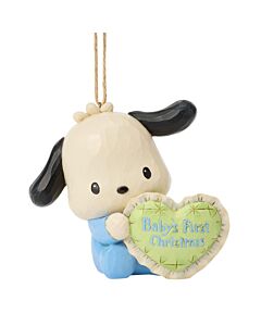 Pochacco Baby's First