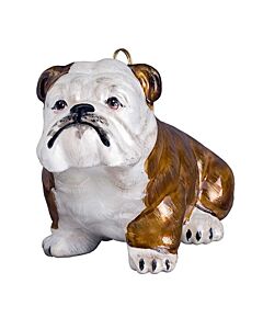 Bulldog Brown and White