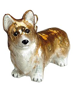 Pembroke Welsh Corgi
