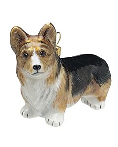 Pembroke Welsh Corgi Tri Color