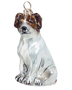 Jack Russell Terrior