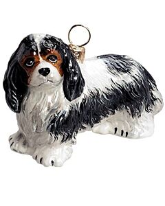 Cavalier King Charles Tri-Color