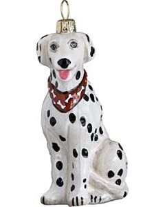 Dalmation With Bandana