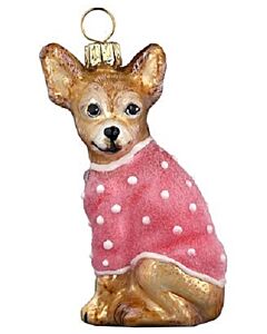 Chihuahua With Pink Coat