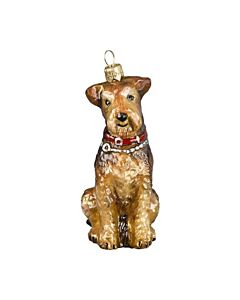 Airedale