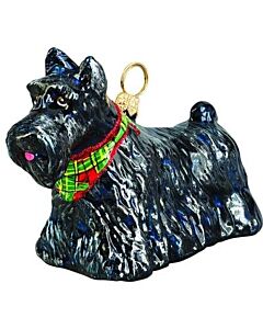 Scottish Terrier with Tartan Plaid Bandana