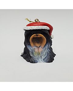 Shih-Tzu
