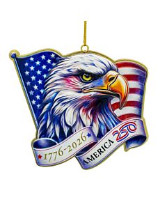 America's 250th Eagle Head with Flag
